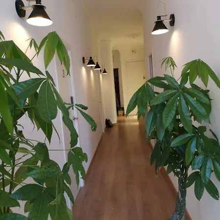 Pensionat Lux Penthouse Gran Via *