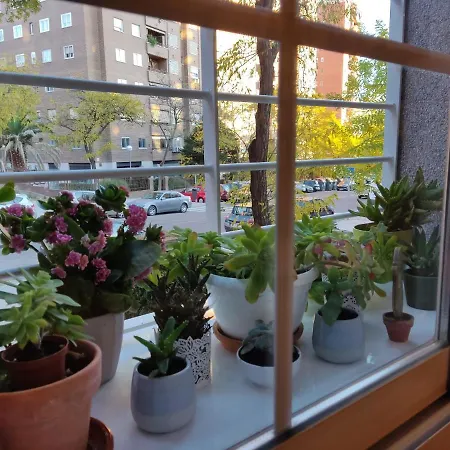 El Pozo-villalobos Apartment Madrid