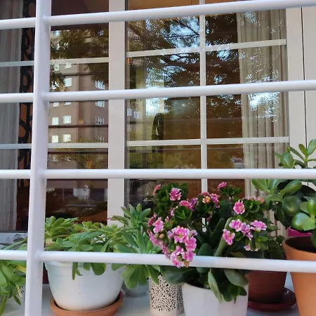 El Pozo-villalobos Apartment