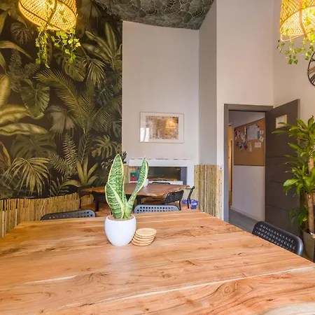 Social - Coliving & Coworking - *