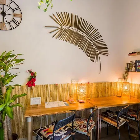 Social - Coliving & Coworking - *