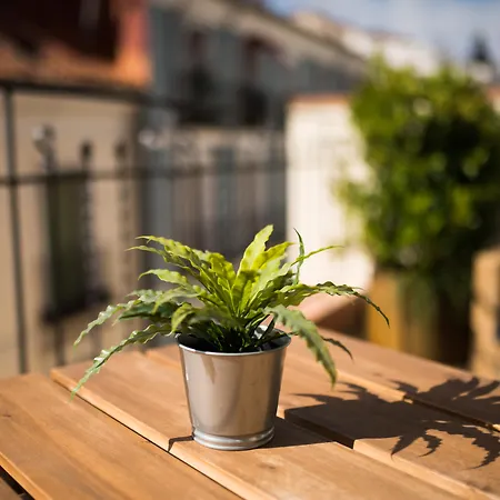 Apartman Cruz Madrid