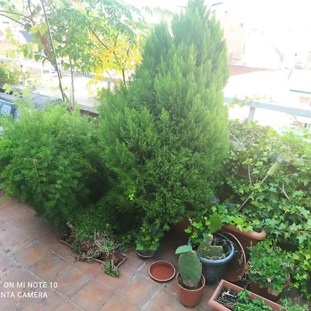 Apartamento Habitación Mv