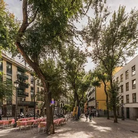 Centro Familiar Termporal *