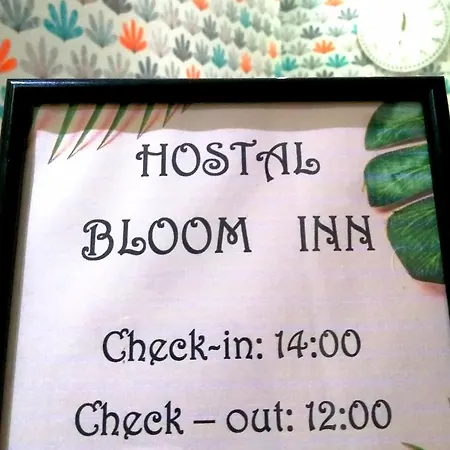 Bloom Guest house 2*