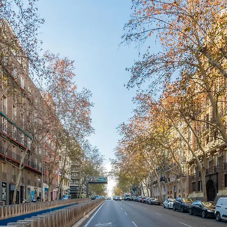 Exclusivo En Velazquez Alquiler Temporal Apartamento Madrid