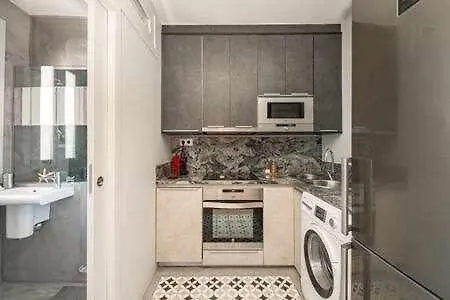 Buenavista Centro Apartment