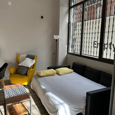 Estudio Centrico Zona Palacio