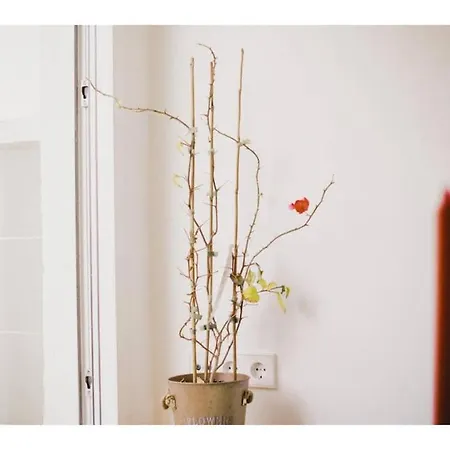 Skyline Penthouse In The Heart Of Tet