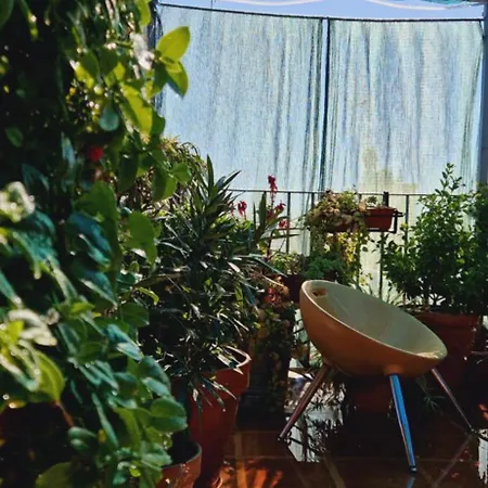 Πανσιόν Casa De Huespedes Dolce 2*
