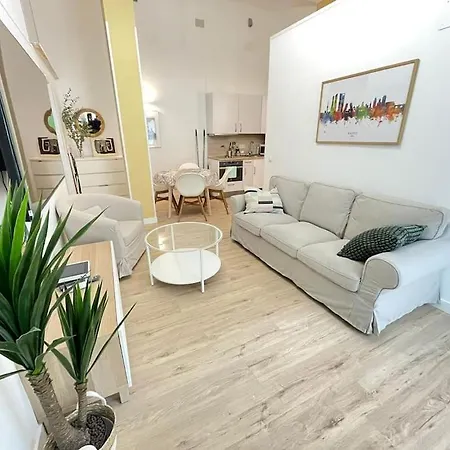 Apartment C9 Piso Privado Reformado Con Wifi Y Ac *