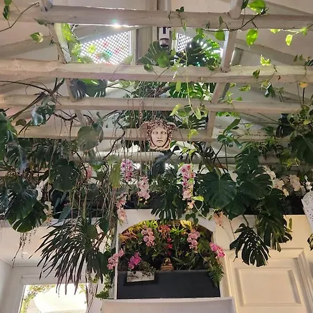 Apartmán A Garden In The Clouds In The Center Of Town *