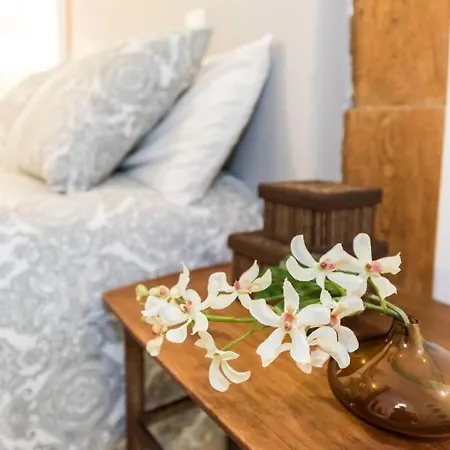 Your Cozy Nest Plaza Mayor - Sol - Rastro - Wifi - Almendro Madrid