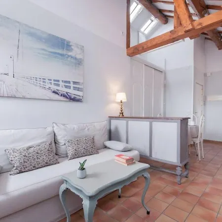 Cozy One-bedroom Penthhouse La Latina Appartement Madrid