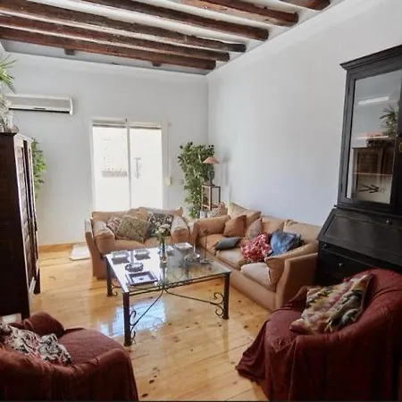 Atico Duplex Con Terraza En Puro Centro, 2 A 8 Pax *