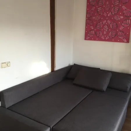 Atico Duplex Loft Lavapies * Madrid