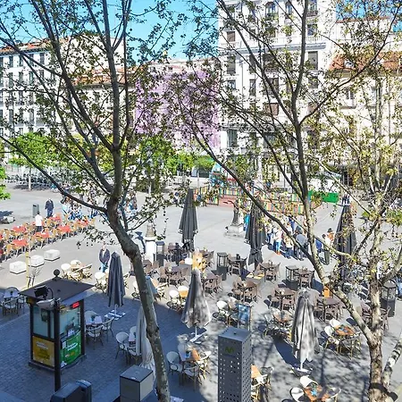 Miau Hotel