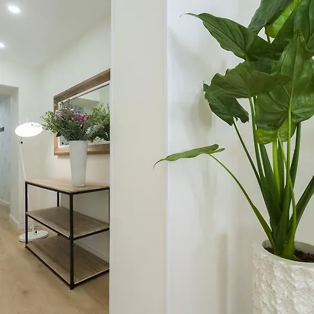 Apartment Dobo Relatores *