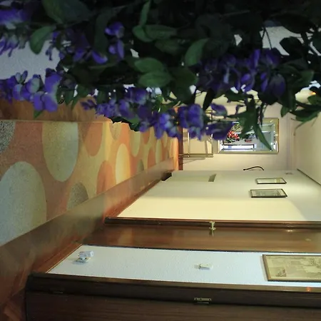 Esmeralda Guest house Madrid