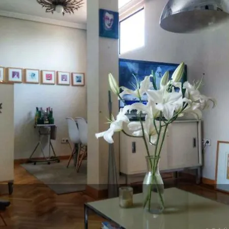 Privada Paseo Del Arte * 马德里