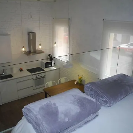 Apartment Loft Auditorio Nacional