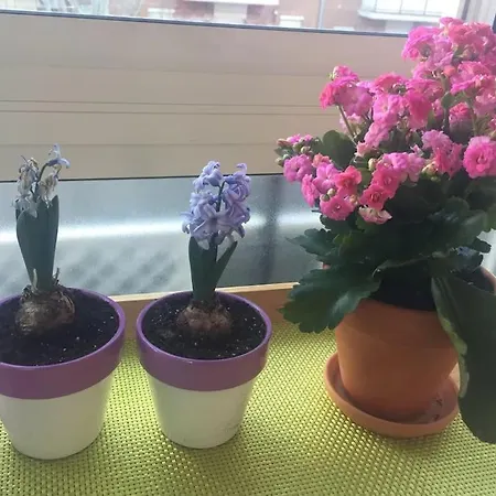 Apartamento Ciudad Lineal Reciente Reforma Madrid