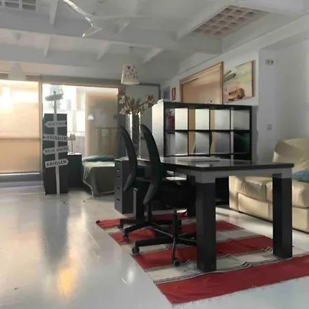 Studio-loft Con Terraza Apartment