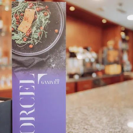Porcel Ganivet Hotel