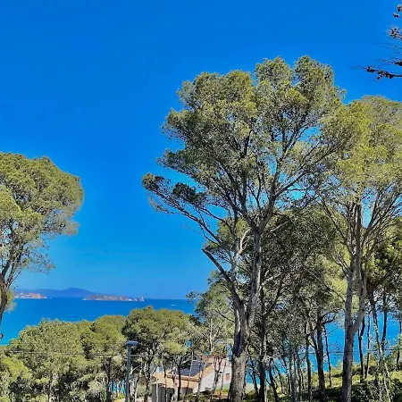 Cala Del Rey In Sa Riera, Costa Brava Begur