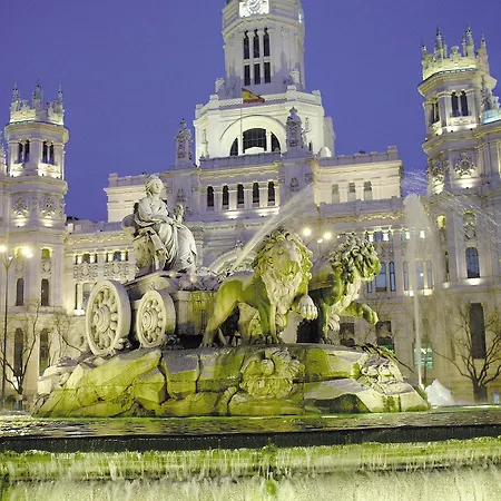 Hotel Occidental 4*