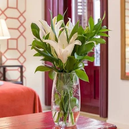 Apartamento To Let Santa Ana Apartment Madrid
