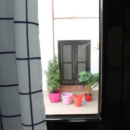 Apartamento Ever House - Alcala Brisa Gran Terraza Rooftop Madrid