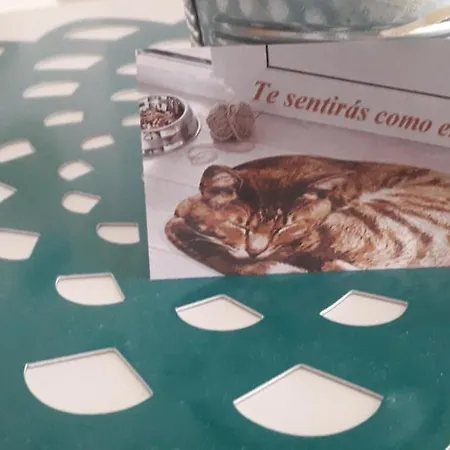 Apartamento La Casa De Begona Madri