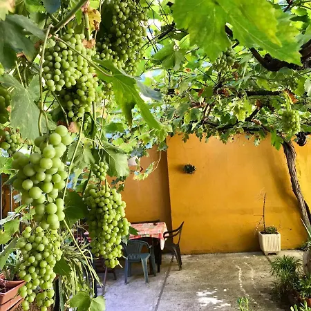 Olivar Apartment