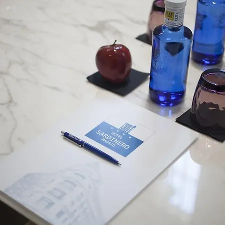 酒店 马德里萨尔第耐罗酒店 马德里