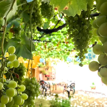 Olivar * Madrid