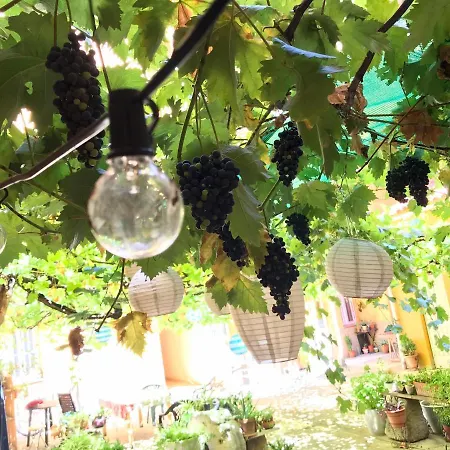 Appartamento Olivar *