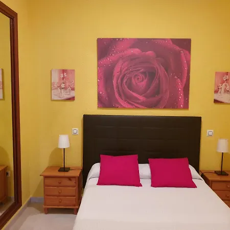 Dana Sol Apartment Madrid