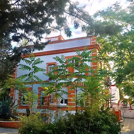 Olivos * Madrid