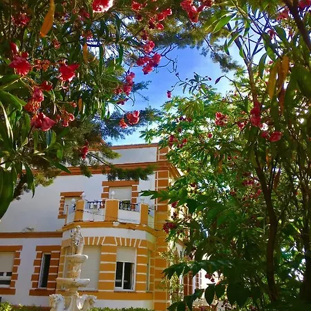 Olivos *