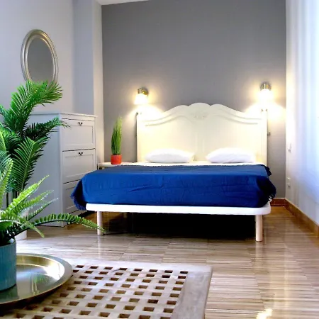 Apartment Wonder