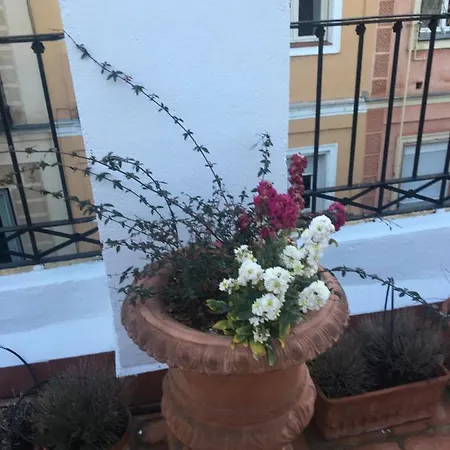 Romantic Terrace