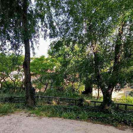 El Jardin De Manresa * Madrid