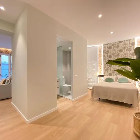Collection La Latina Appartement Madrid