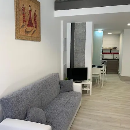 Nuevos Duplex Principe Vergara Madrid