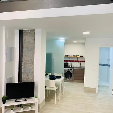 Appartement Nuevos Duplex Principe Vergara