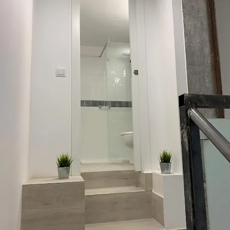 Appartement Nuevos Duplex Principe Vergara *