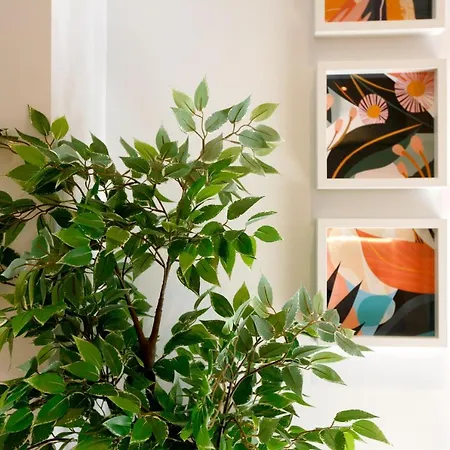 Apartment Tirso *
