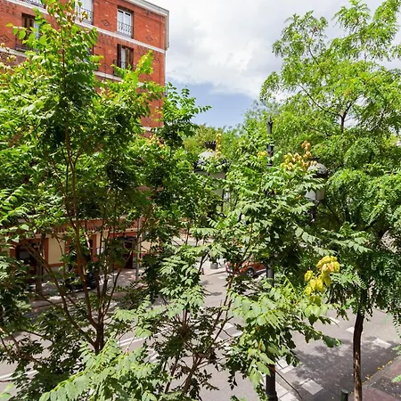 Apa 1256 Apartment Madrid