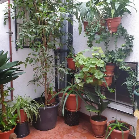 Appartamento Centroapartament Letras *